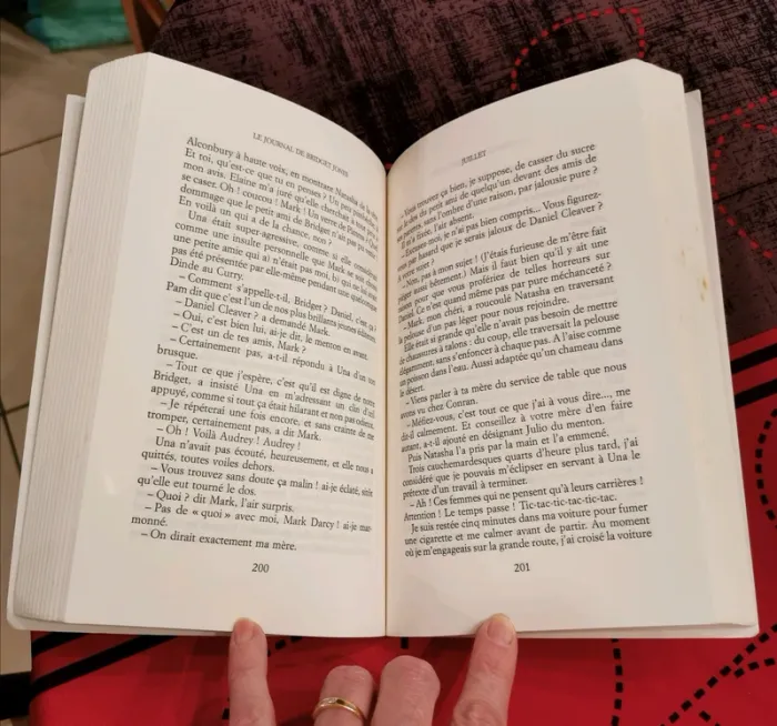 Livre le journal de Bridget Jones - photo numéro 3