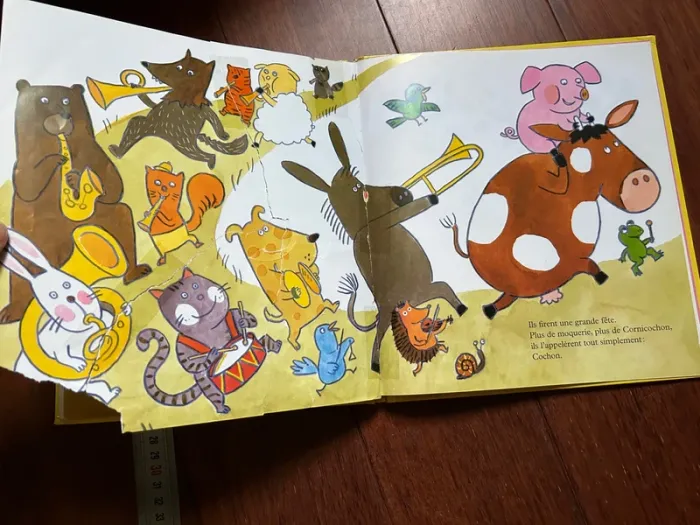 Cornicochon livre enfant - photo numéro 9