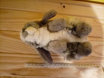 Peluche Lapin Bélier GIPSY - 20 cm 