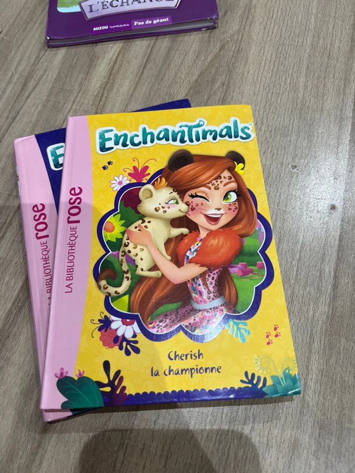 Lot de 4 livres de la bibliothèque rose enchantimals - photo numéro 4
