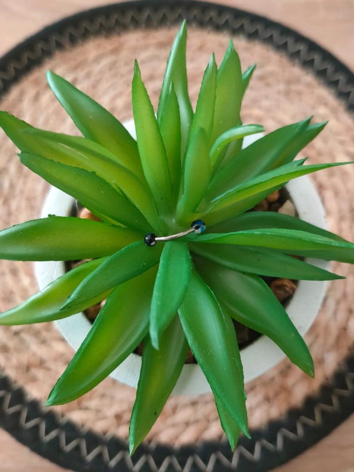 🍁Piercing arcade🍁 - photo numéro 2