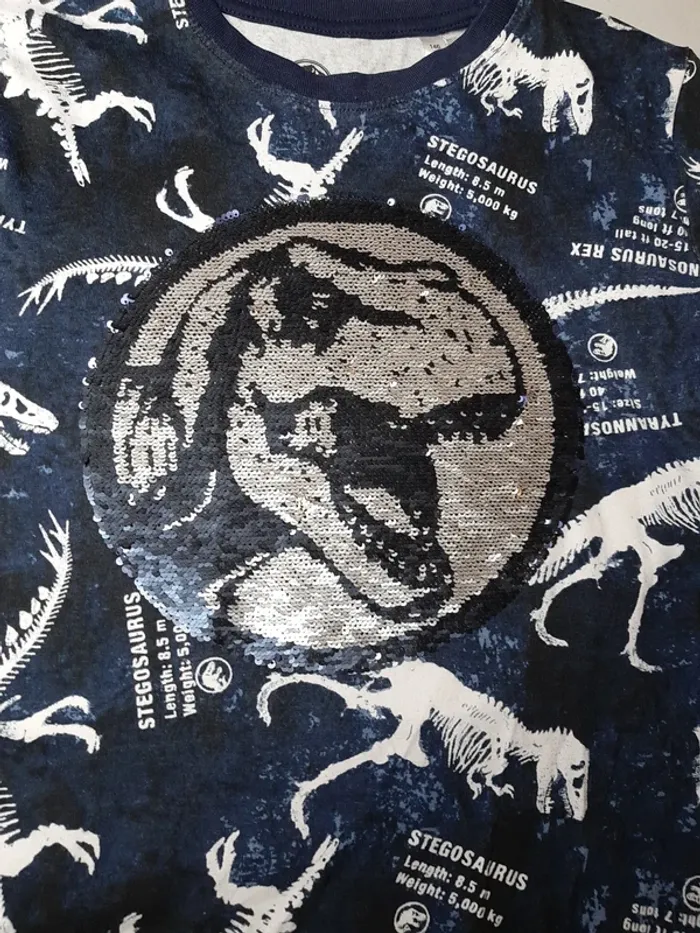 Tshirt dinosaures - photo numéro 2