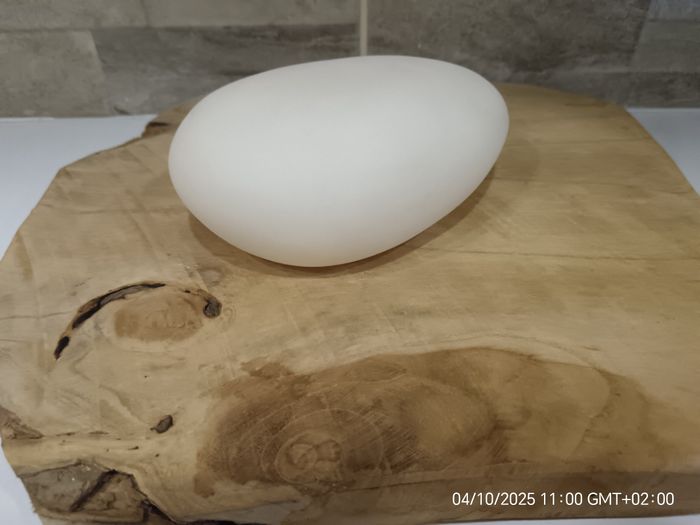 Lot veilleuses - photo numéro 9