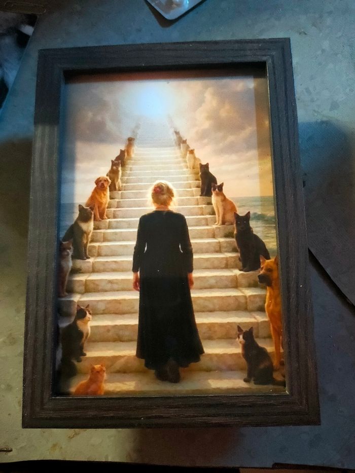 Cadre photo Brigitte bardot