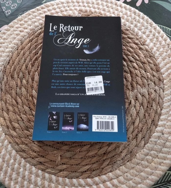 Livre Le retour de l'ange Elizabeth Chandler - photo numéro 2