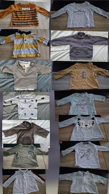 Le lot de 14 tee shirt