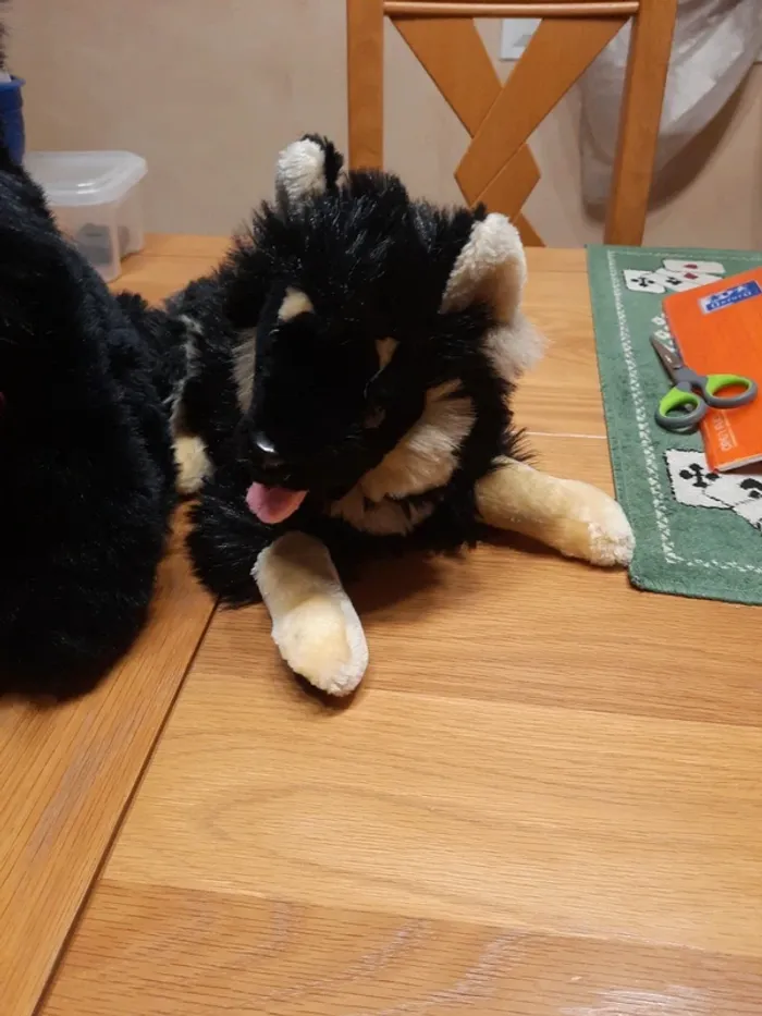Lot 2 peluches chien - photo numéro 3