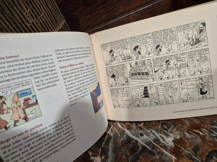 📚 Tintin - Les vrais secrets de la Licorne 📚 - photo numéro 5