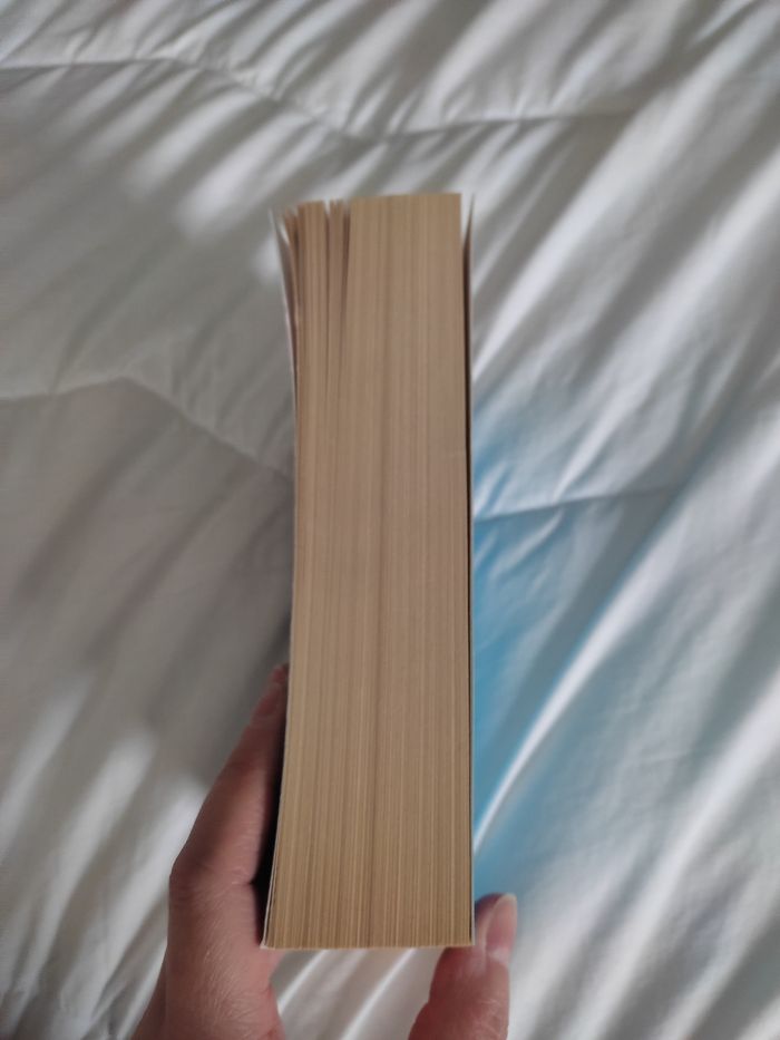 La princesse de papier - photo numéro 4