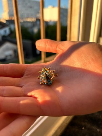 Broche coccinelle