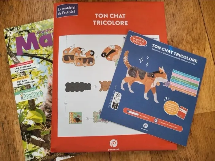 Pandacraft ton chat tricolore