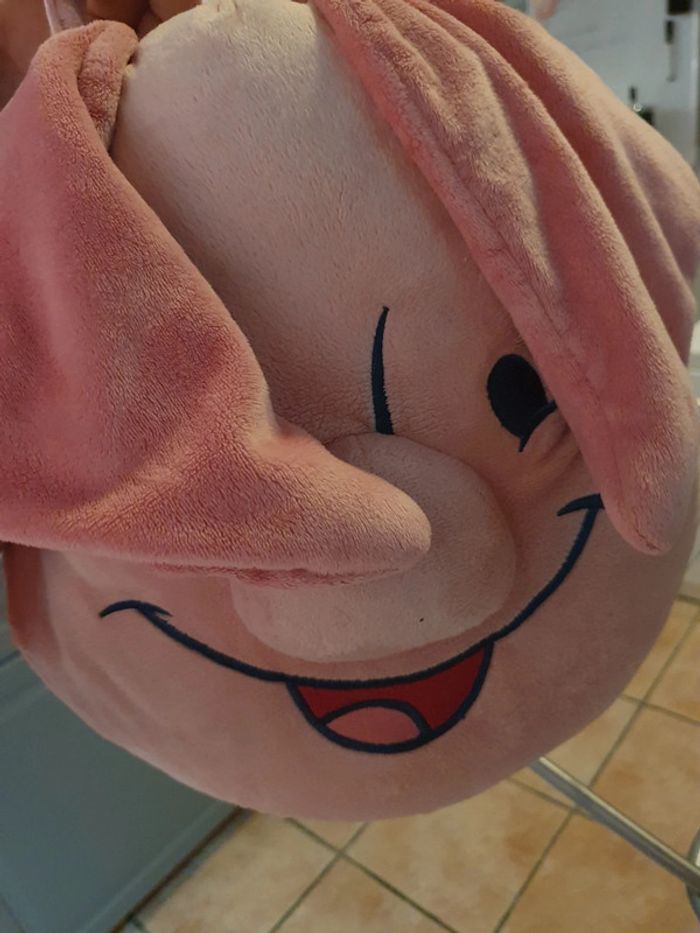 Coussin porcinet - photo numéro 2