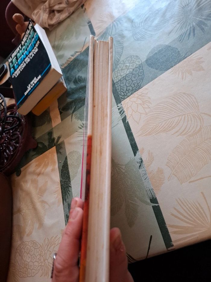 La capitaine fracasse - photo numéro 8