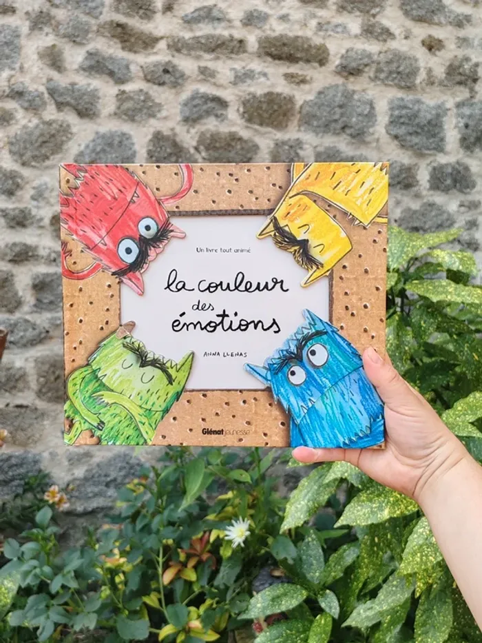 Livre la couleur des émotions - anna llenas