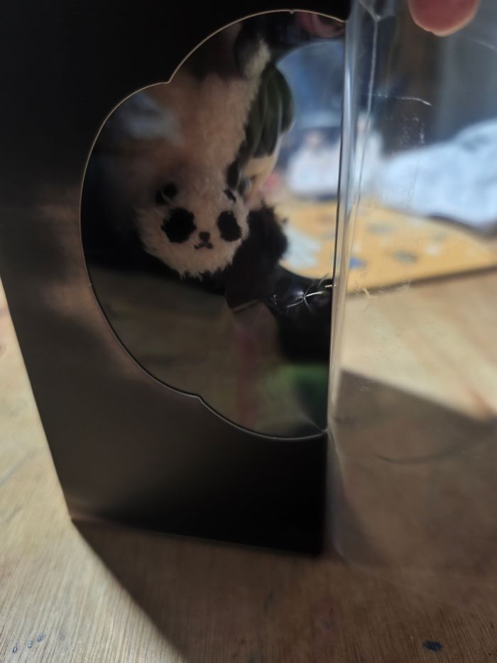 Skullpanda lazy panda. - photo numéro 4