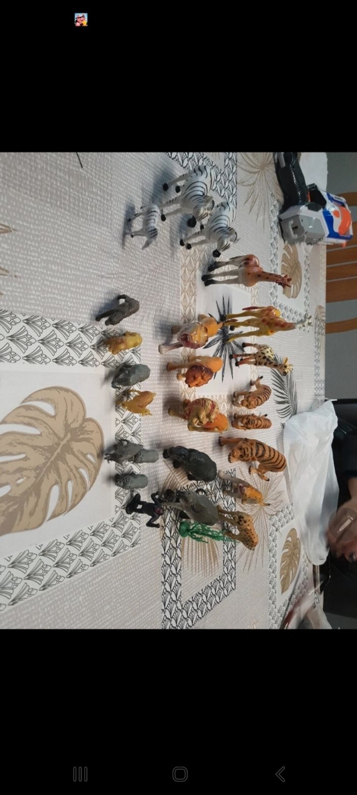 Animaux - photo numéro 5