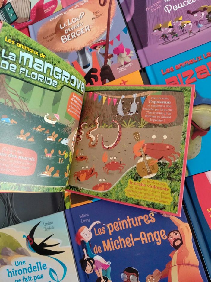Lot 13 livres enfants complètement neuf - photo numéro 4