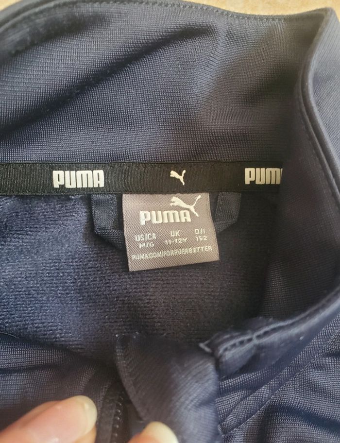 Survêtement - photo numéro 2