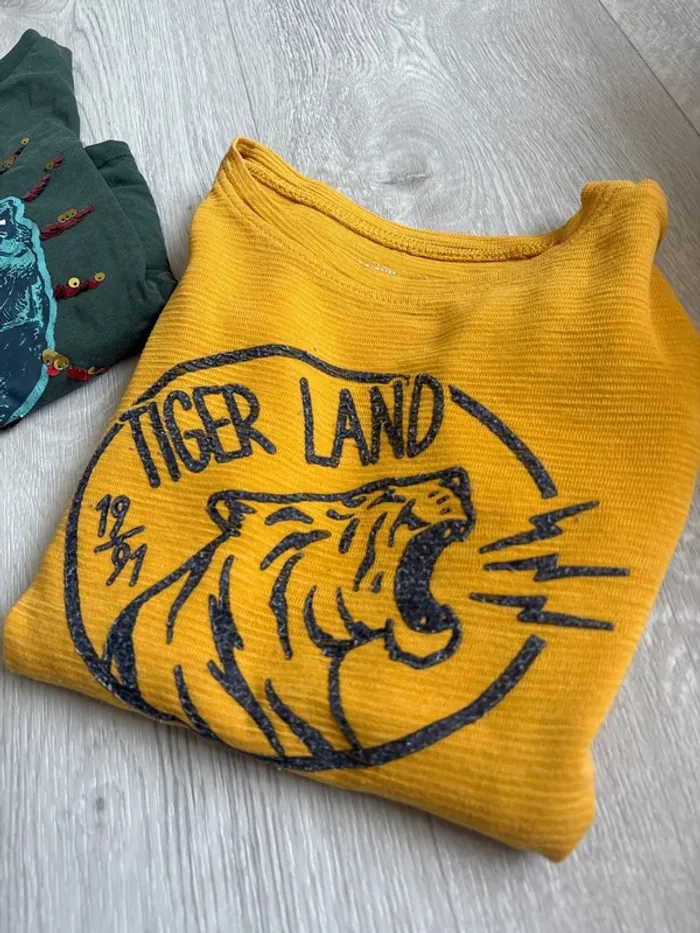 Lot de 2 tee shirt manches longues 8 ans - photo numéro 2
