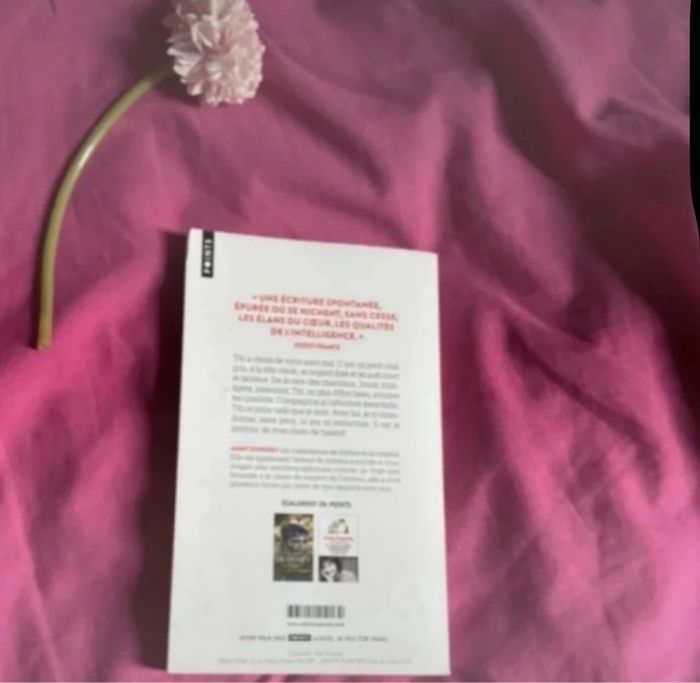 Les chats de hasard - photo numéro 2