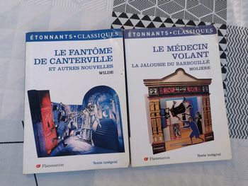 Lot de 2 livres de Wilde et Molière, le théâtre
