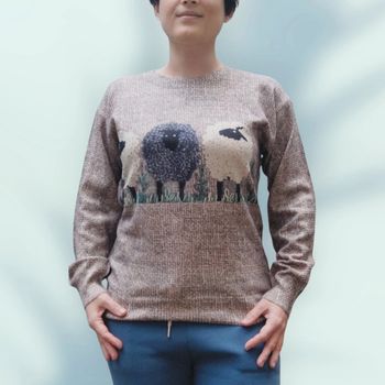 Joli pull taille S