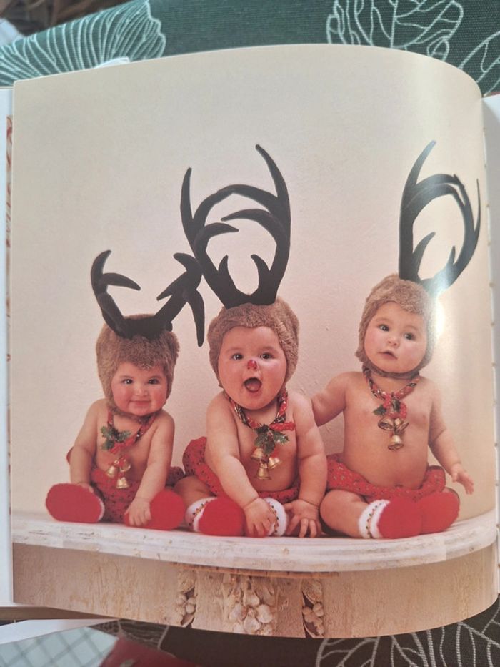 Livre Noël enfant Anne Geddes - photo numéro 7