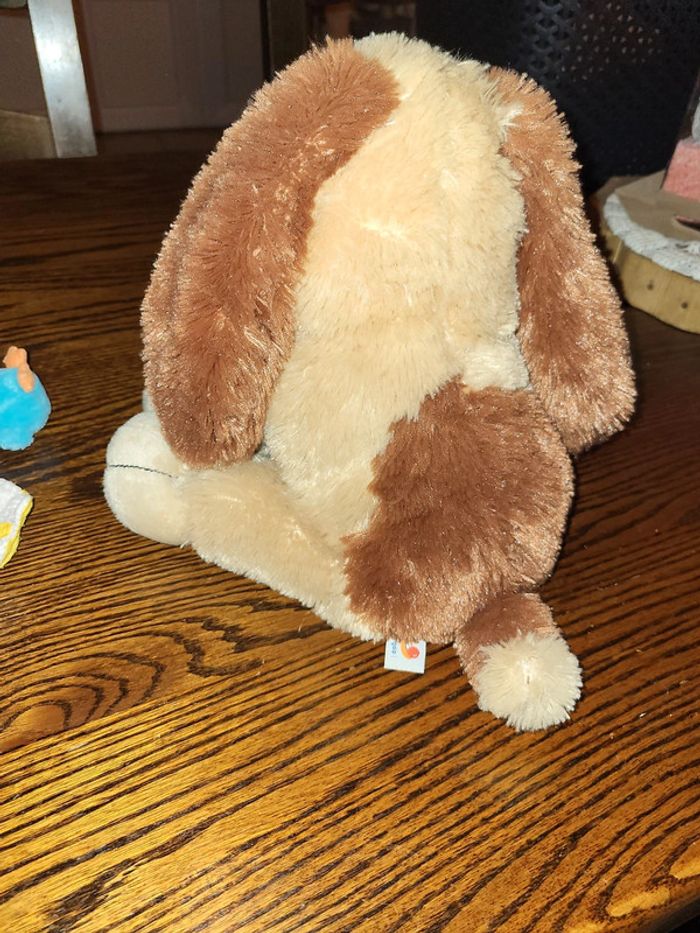 Chien musical - photo numéro 2