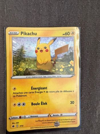 Pikachu 2022