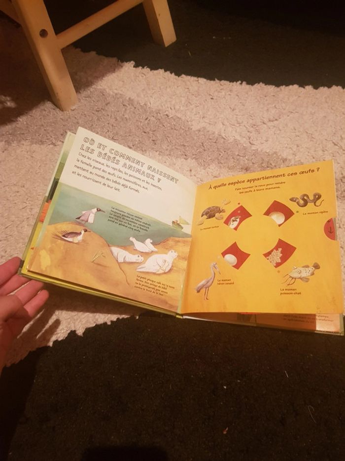 Livre les bébés animaux - photo numéro 2