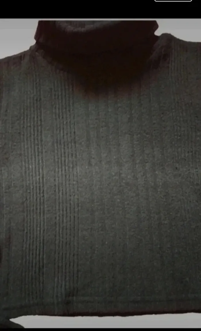 Pull court Col roulé style croc top taille 12 ans - photo numéro 2