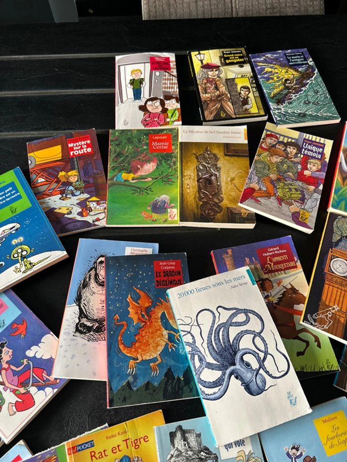 Lot de livres - photo numéro 4