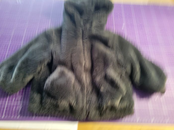 Manteau - photo numéro 2
