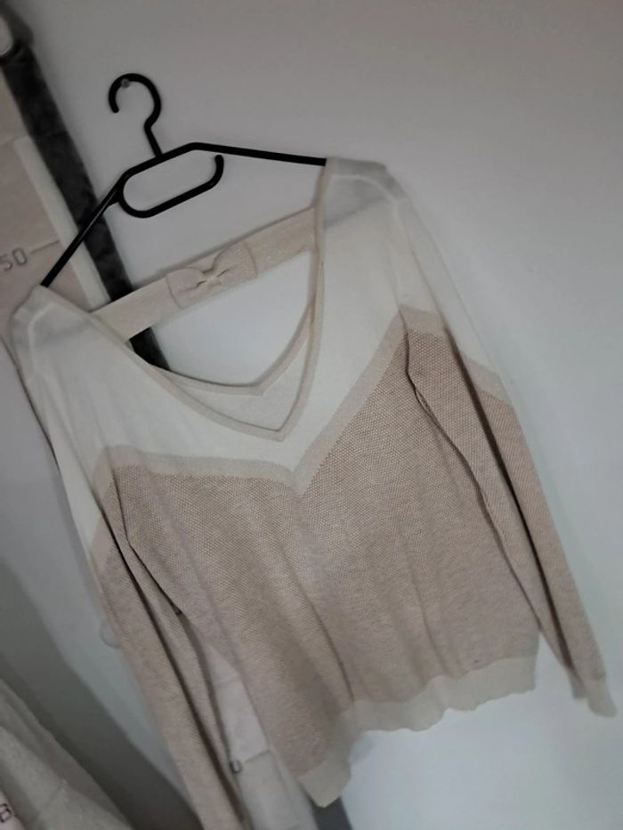 Magnifique pull - photo numéro 6