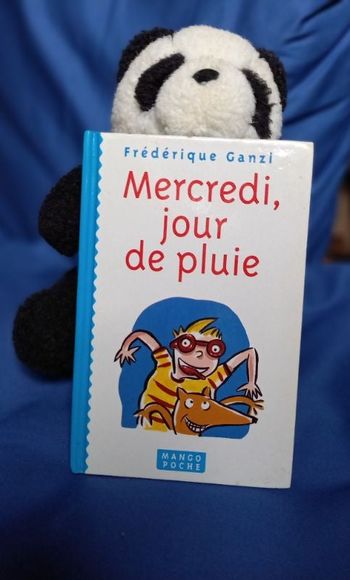 Mercredi jour de pluie