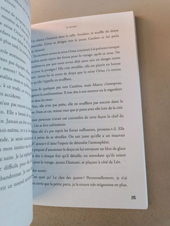 Irène Salvador la vague émeraude - photo numéro 6
