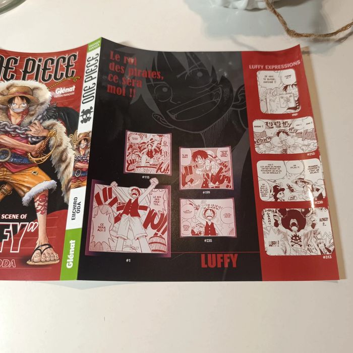 Jaquette one piece log Luffy - photo numéro 3