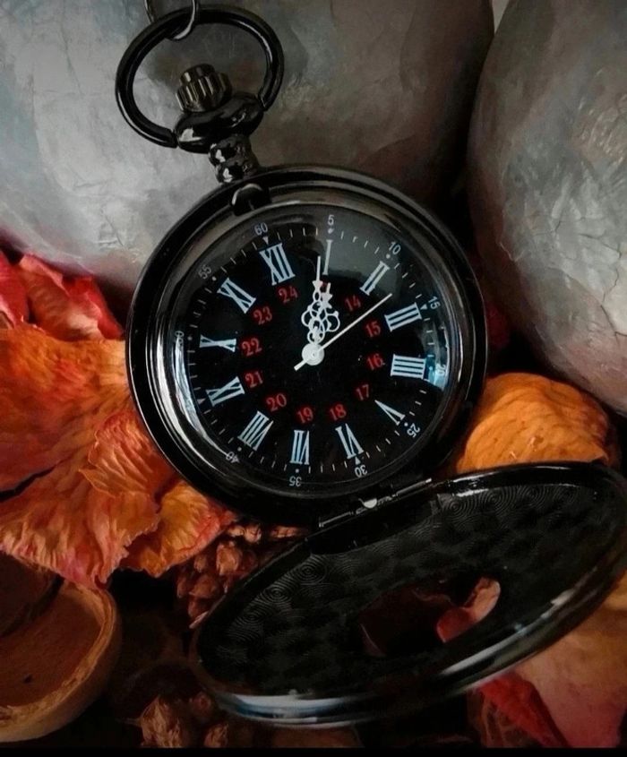 F99 montre à gousset rétro vintage originale bronze noire - photo numéro 2