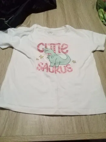 T shirt dinosaure