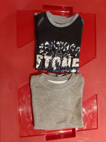 Lot de 2 t-shirts manches courtes 2 ans
