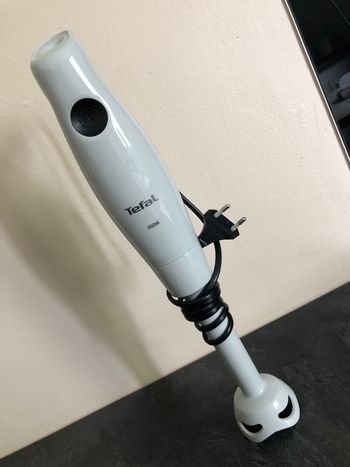 Mixeur plongeant téfal