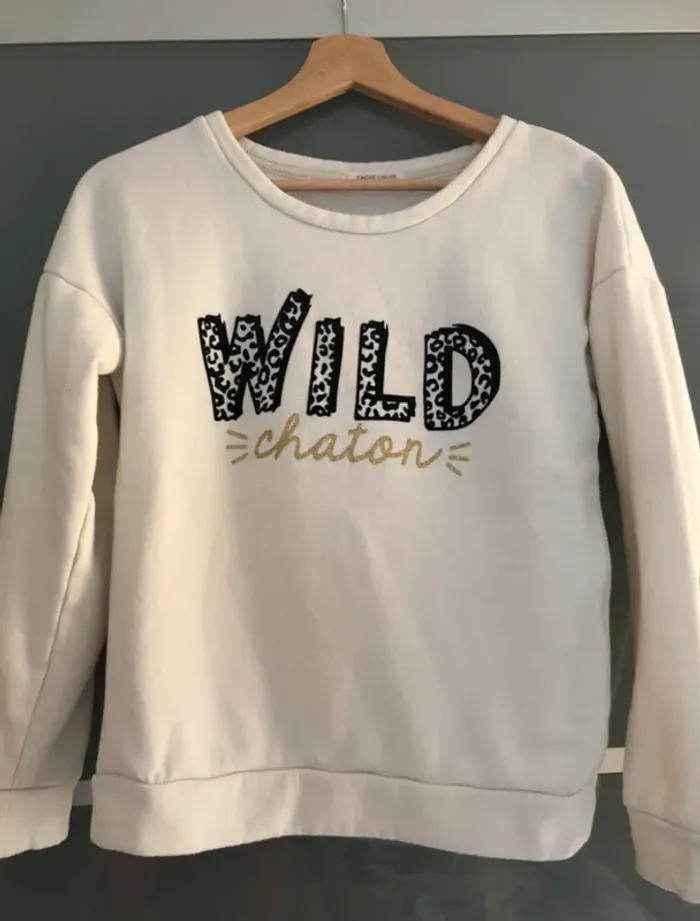 Sweat cache cache chaton