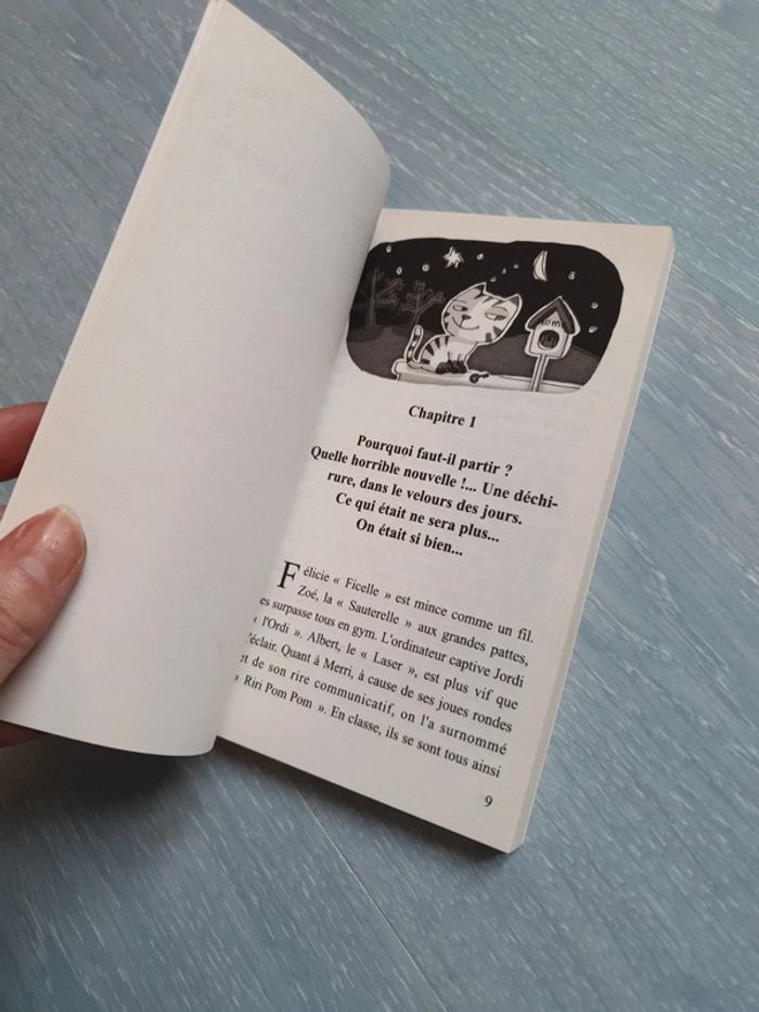 La classe arc en ciel - photo numéro 5