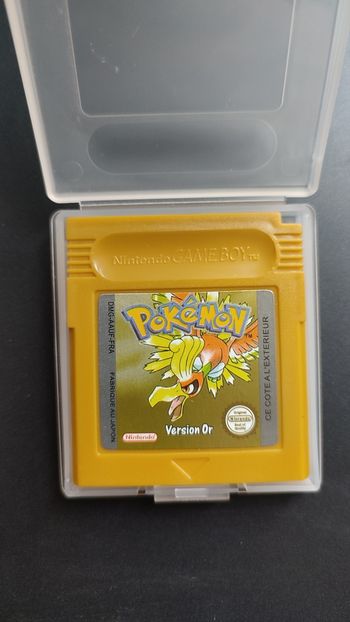 Pokémon Version Or