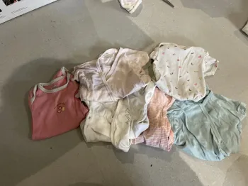 Lot 6 bodies manches courtes