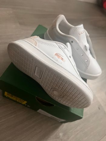 Basket Lacoste 