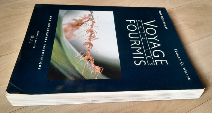 Voyage chez les fourmis - une exploration scientifique - photo numéro 3