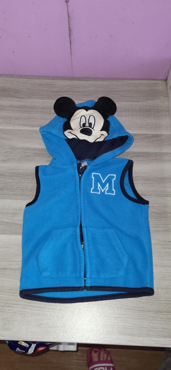Gilets Disney 12 mois - photo numéro 2