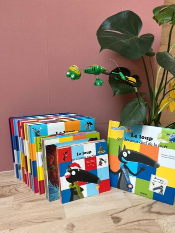 Collection livre le loup édition auzou à l’unité