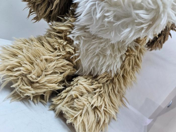 Chien. 
Hauteur : 22cm. - photo numéro 3